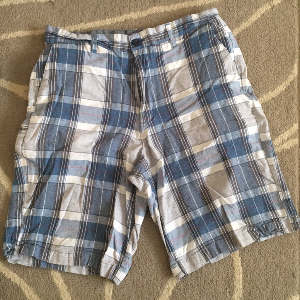 Burnside Casual Shorts 32